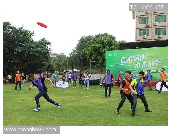 飞盘竞技新视角:深入剖析杭州飞盘队员的个人能力与团队协作