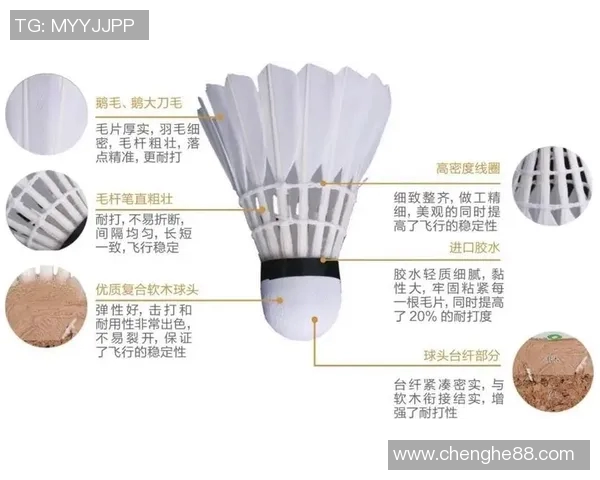 武汉羽毛球队技术分析与发展探讨聚焦羽毛球运动的未来趋势与挑战