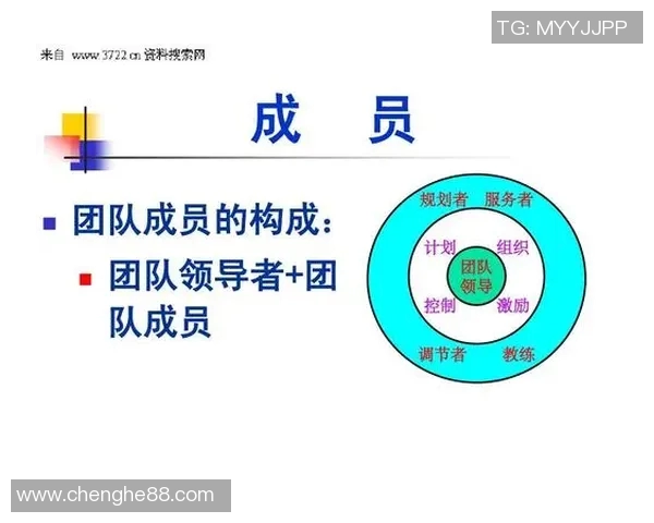 以教练为核心的团队管理模式探索与实践策略分析
