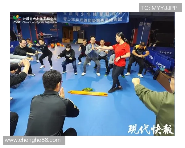 南京乒乓球队的力量与荣耀：探索乒乓球运动的精神与发展之路